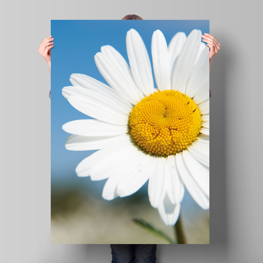 Poster, DIN A0 – Bild 3