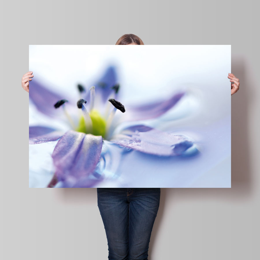 Poster, DIN A0 – Bild 5