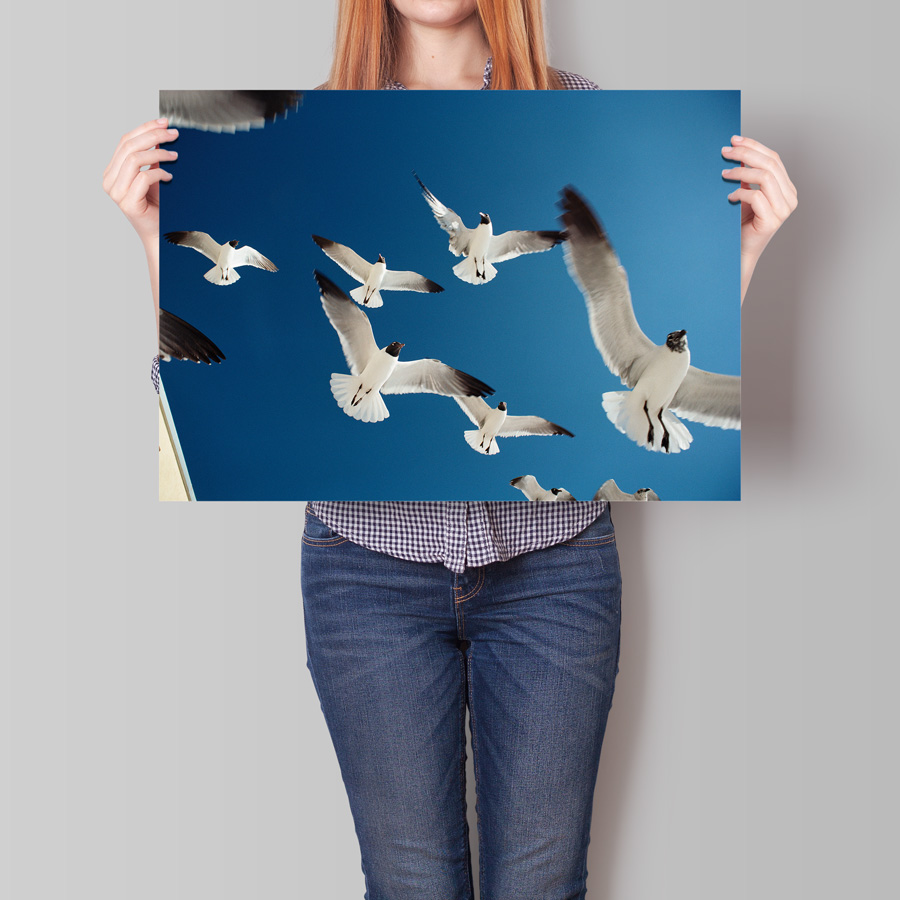 Poster, DIN A2 – Bild 4