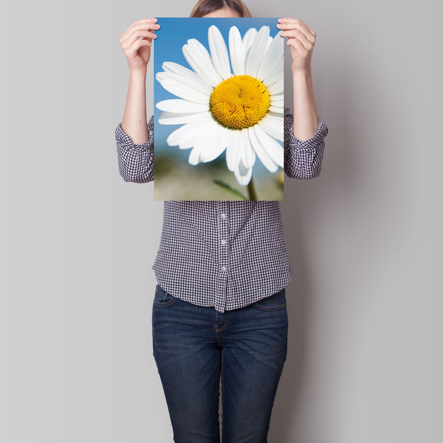 Poster, DIN A3 – Bild 3